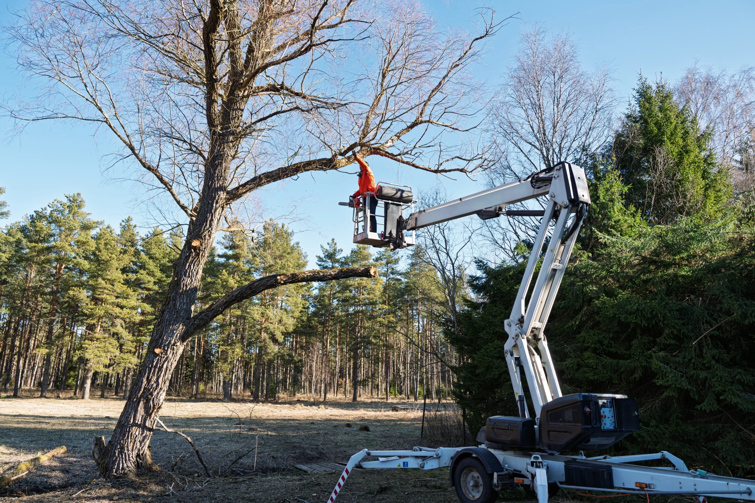 Arborist Insurance Virginia