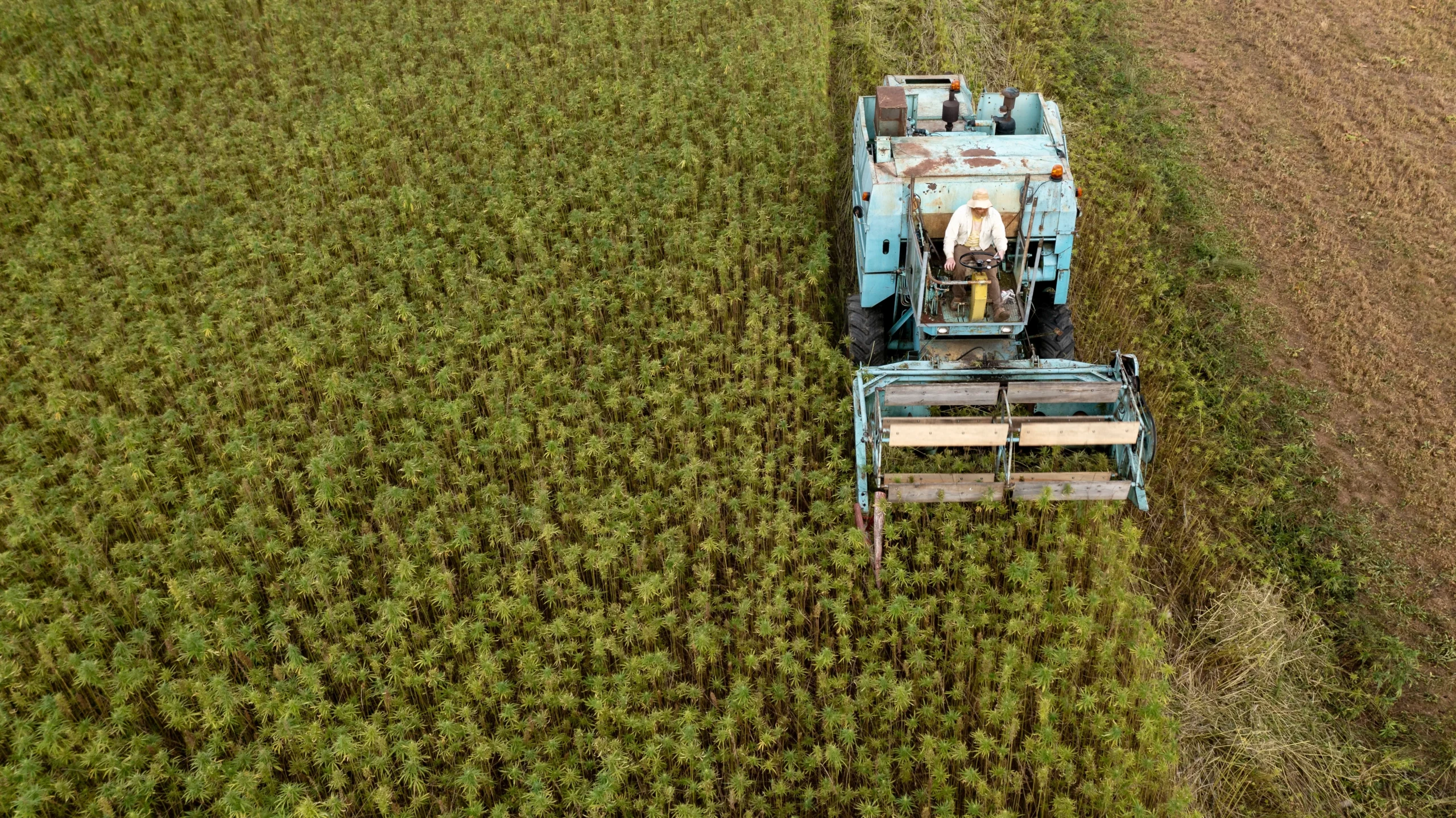 Hemp Crop Insurance Virginia